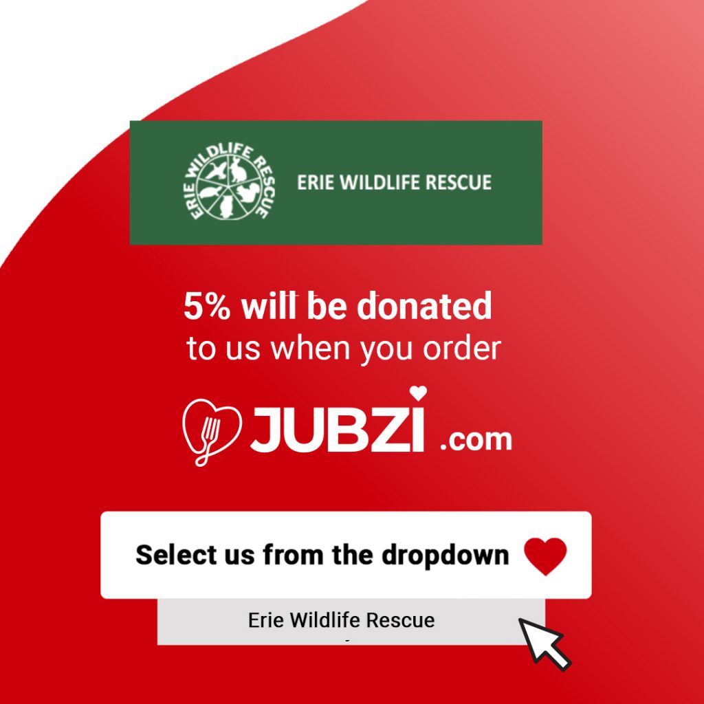EWR joins the Jubzi family!