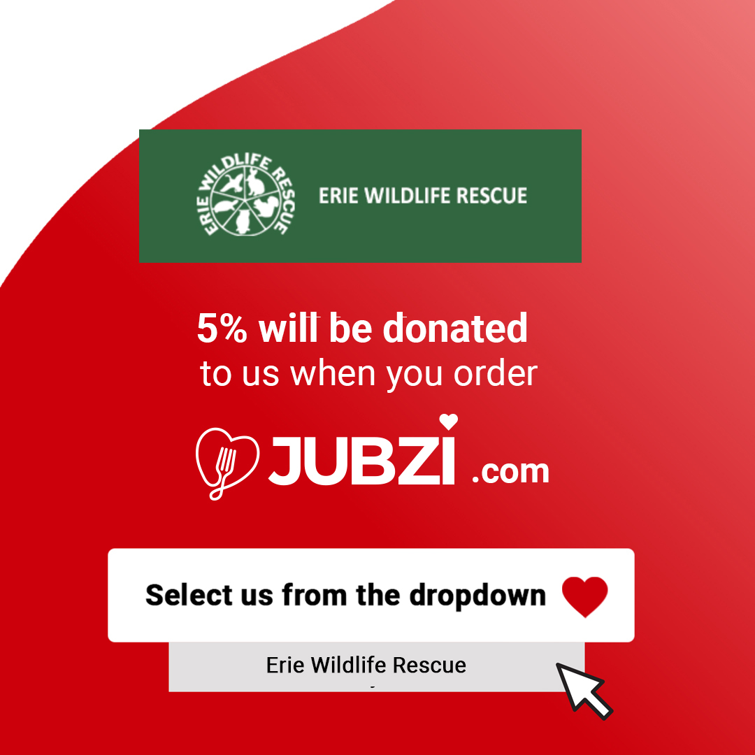 EWR joins the Jubzi family!